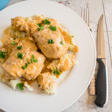 overhead photo of hungarian chicken paprikash with dumplings on a plate