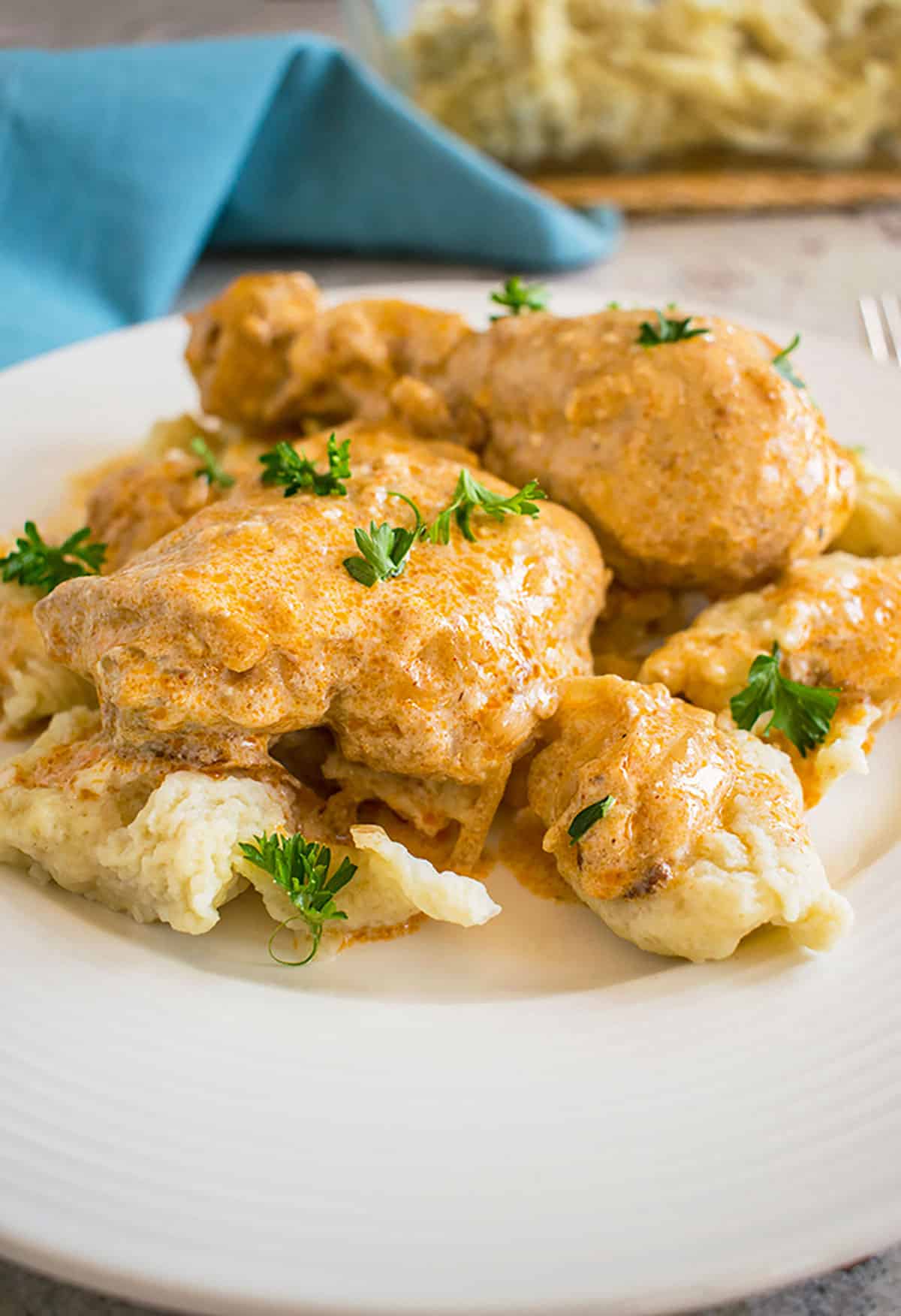 close-up photo of hungarian chicken paprikash with dumplings 