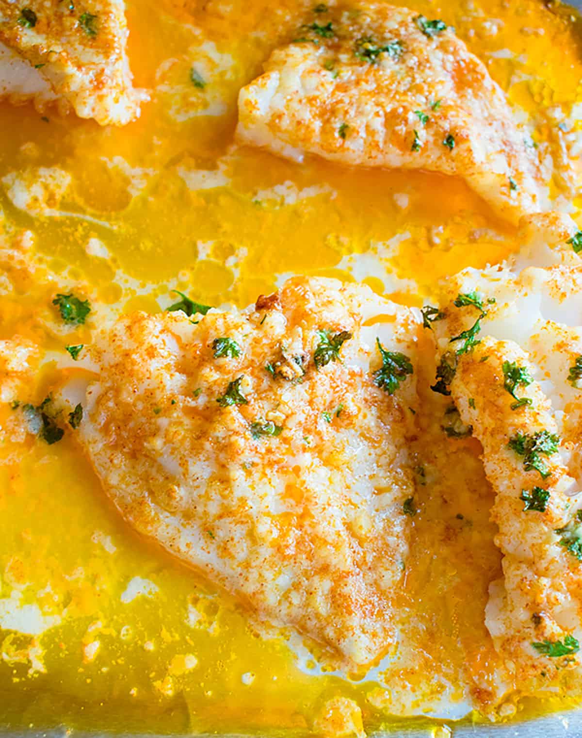 Parmesan Baked Cod Recipe (Keto, Low Carb, GF) - Cooking with Mamma C