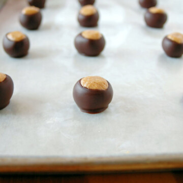 peanut butter balls dipped in chocolate on a sheet tray