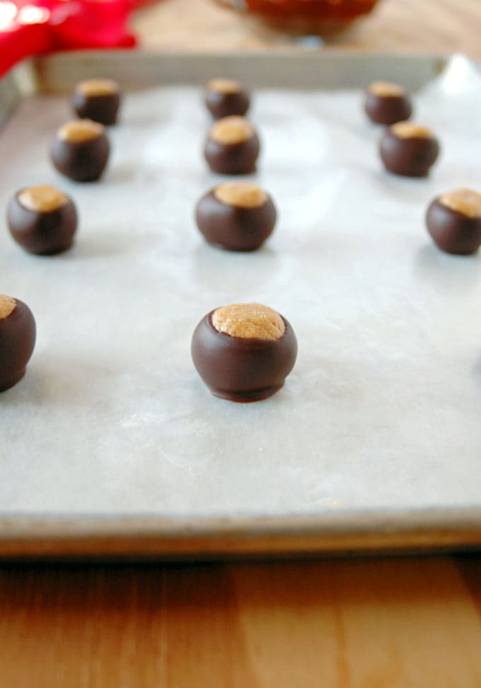 peanut butter balls dipped in chocolate on a sheet tray
