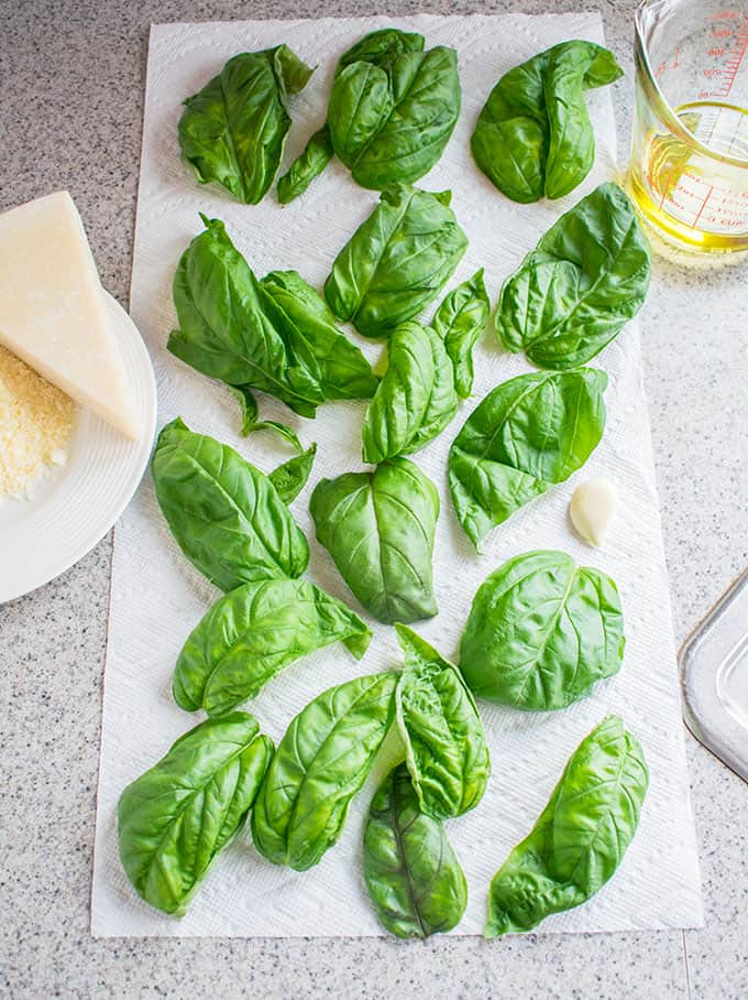 Photo of basil leaves, grated Parmesan, triangle of Pecorino Romano, garlic clove and olive oil in a measuring cup