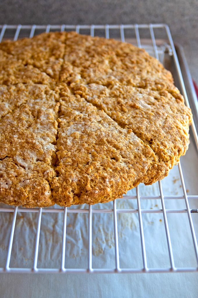 Peachy Pumpkin Scones on a drying rack