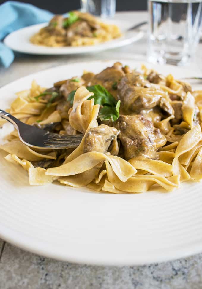 forkful of tender beef stroganoff