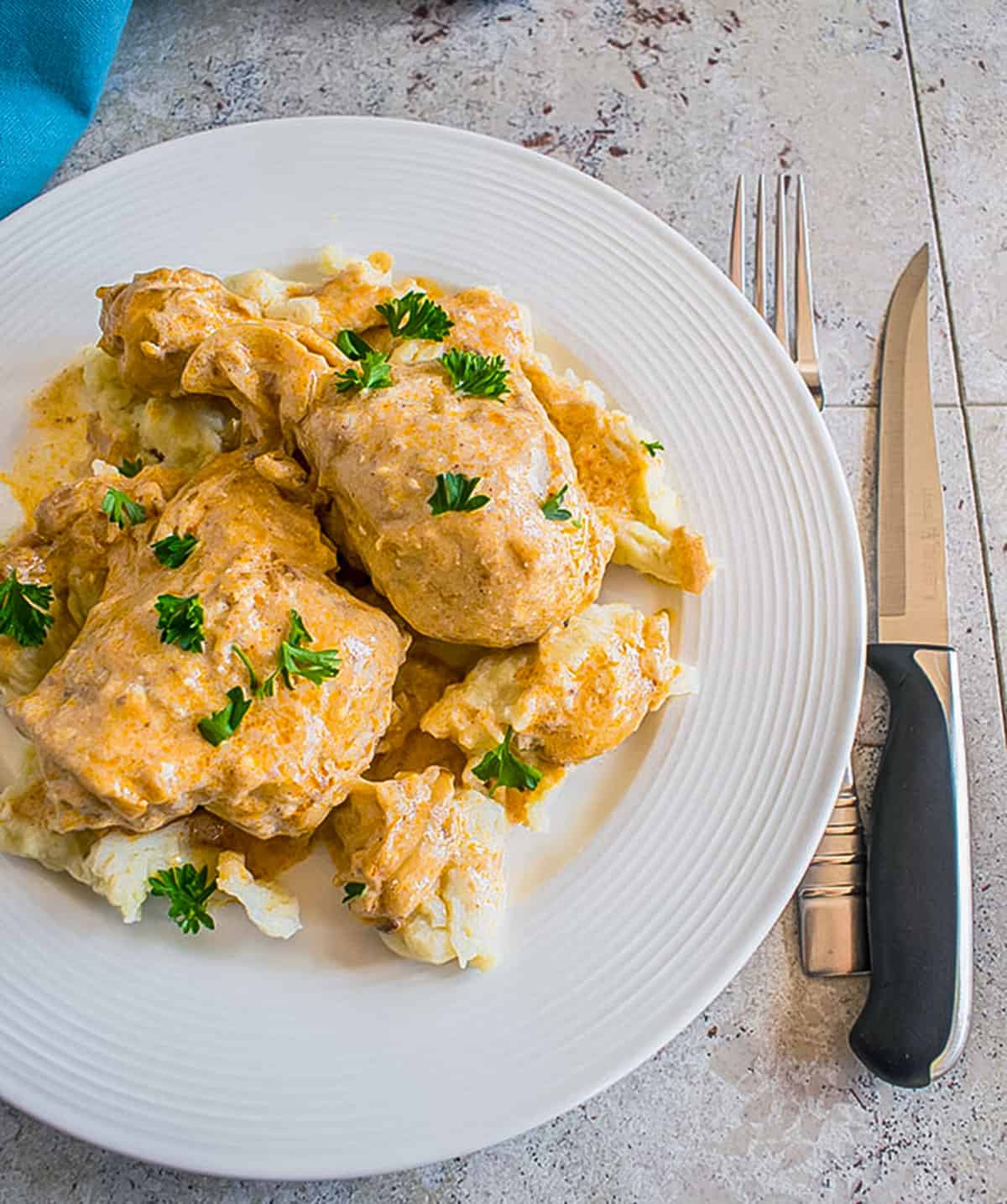 Photo of plate of Hungarian Chicken Paprikash with Dumplings