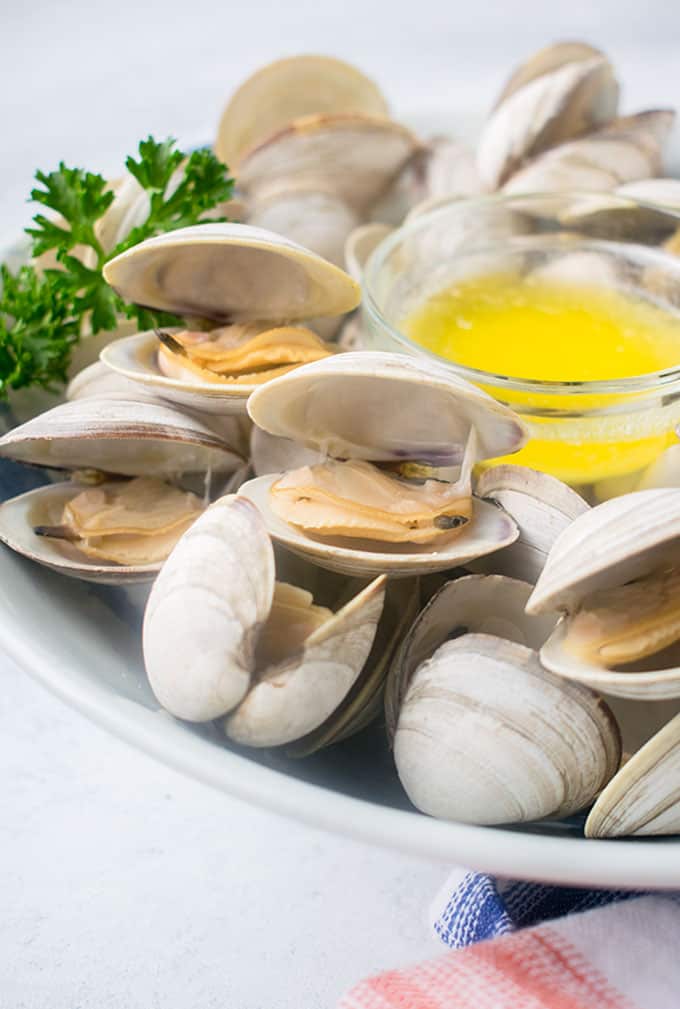 Close-up of cooked, opened clamshells in a bowl with melted butter
