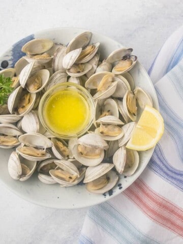 cropped-1a-Beer-Steamed-Littleneck-Clams-Photo.jpg