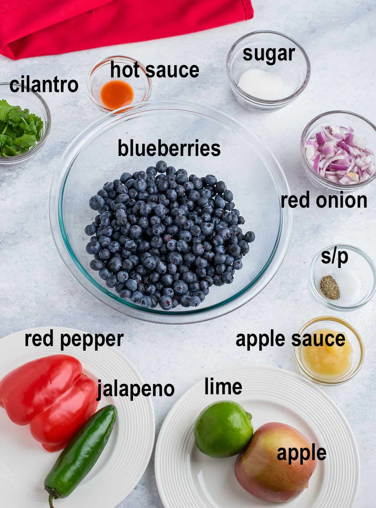 blueberries, onion, cilantro, red pepper, jalapeno, lime, apple, apple sauce, seasonings, sugar