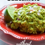 pinnable image for guacamole