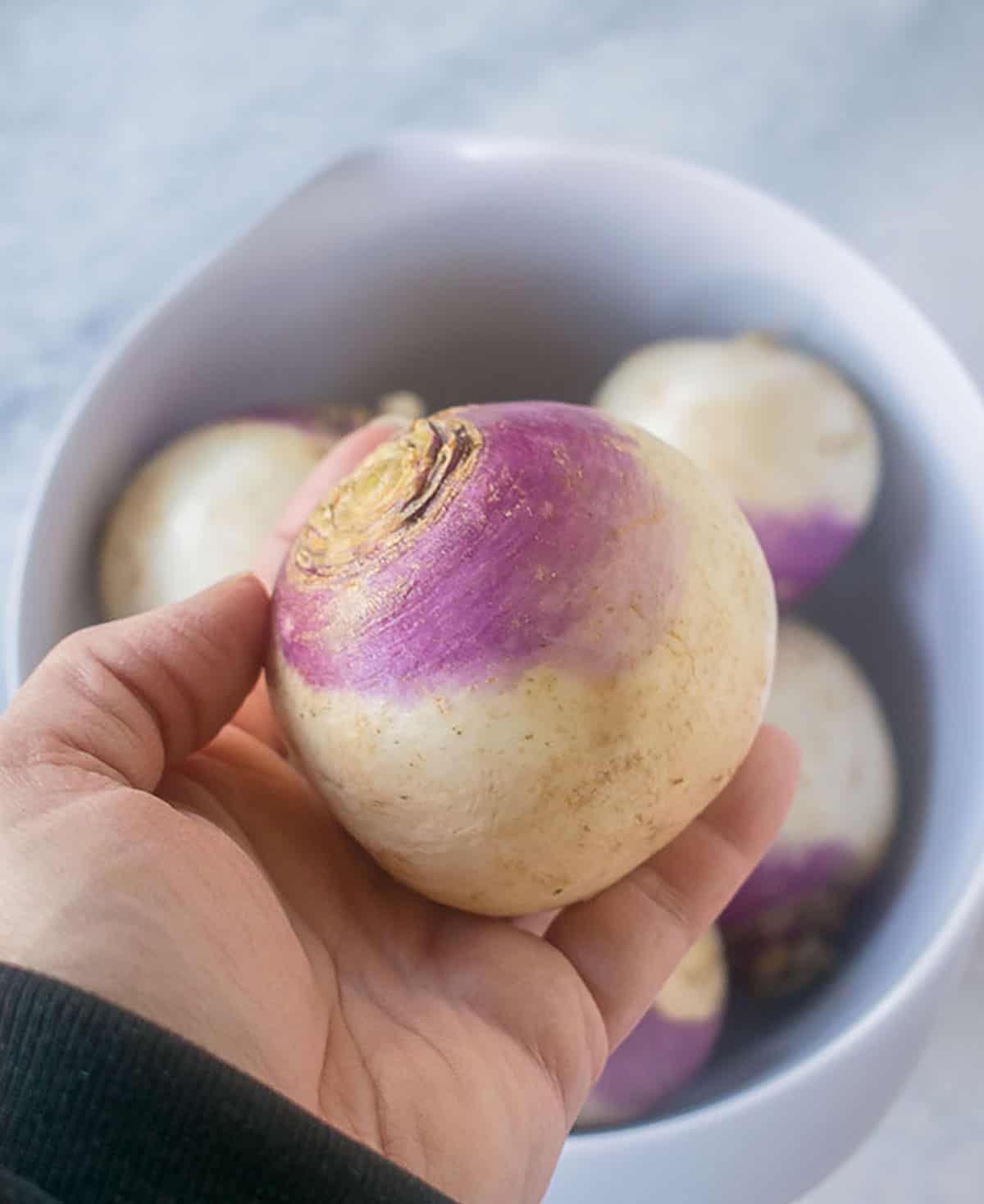 hand holding a turnip