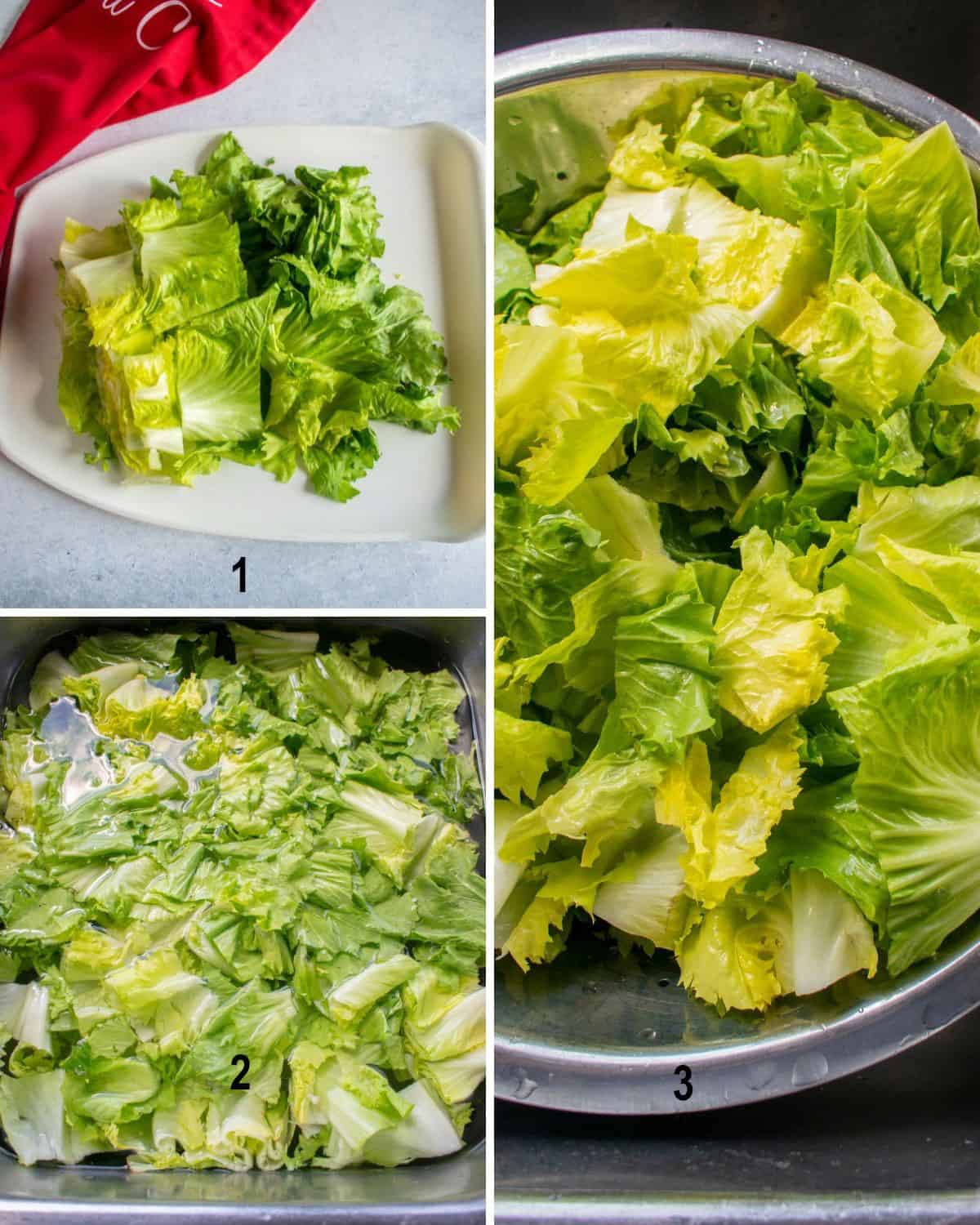 cut escarole, escarole lettuce in sink of water, lettuce in drainer