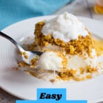 pinnable image for easy fried ice cream
