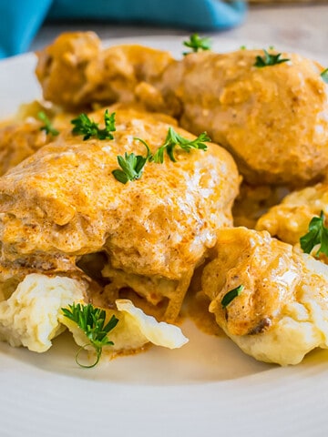 chicken paprikash with dumplings on plate