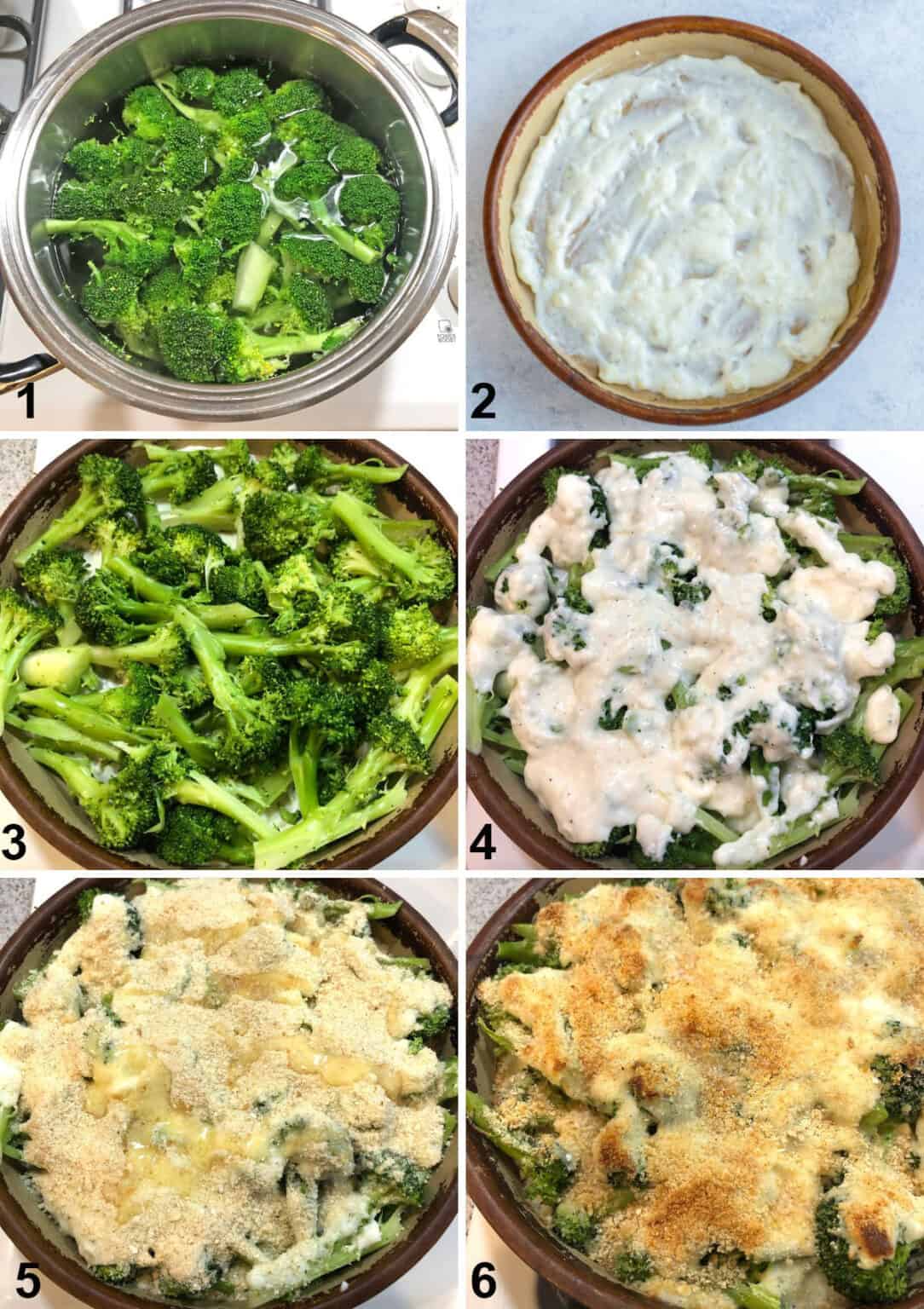 Broccoli Au Gratin with Fontina - Cooking with Mamma C