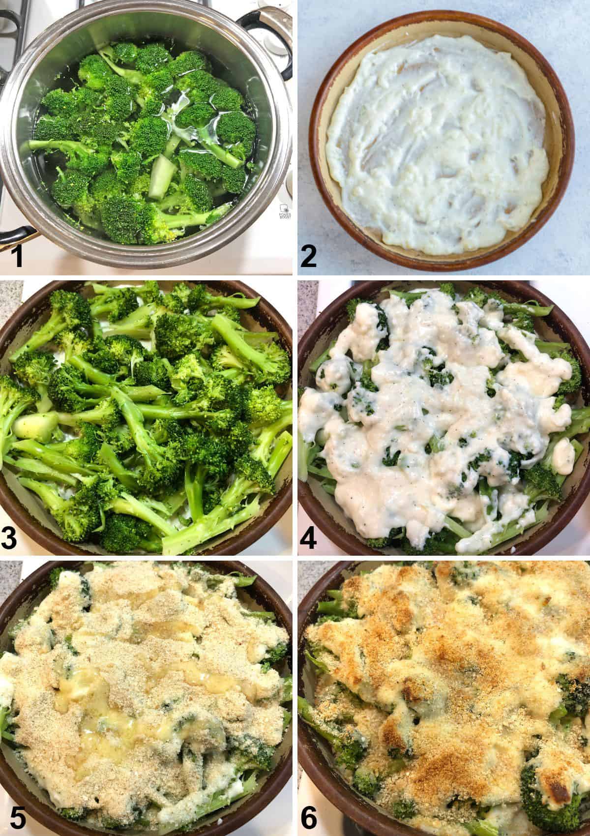 process to make broccoli au gratin