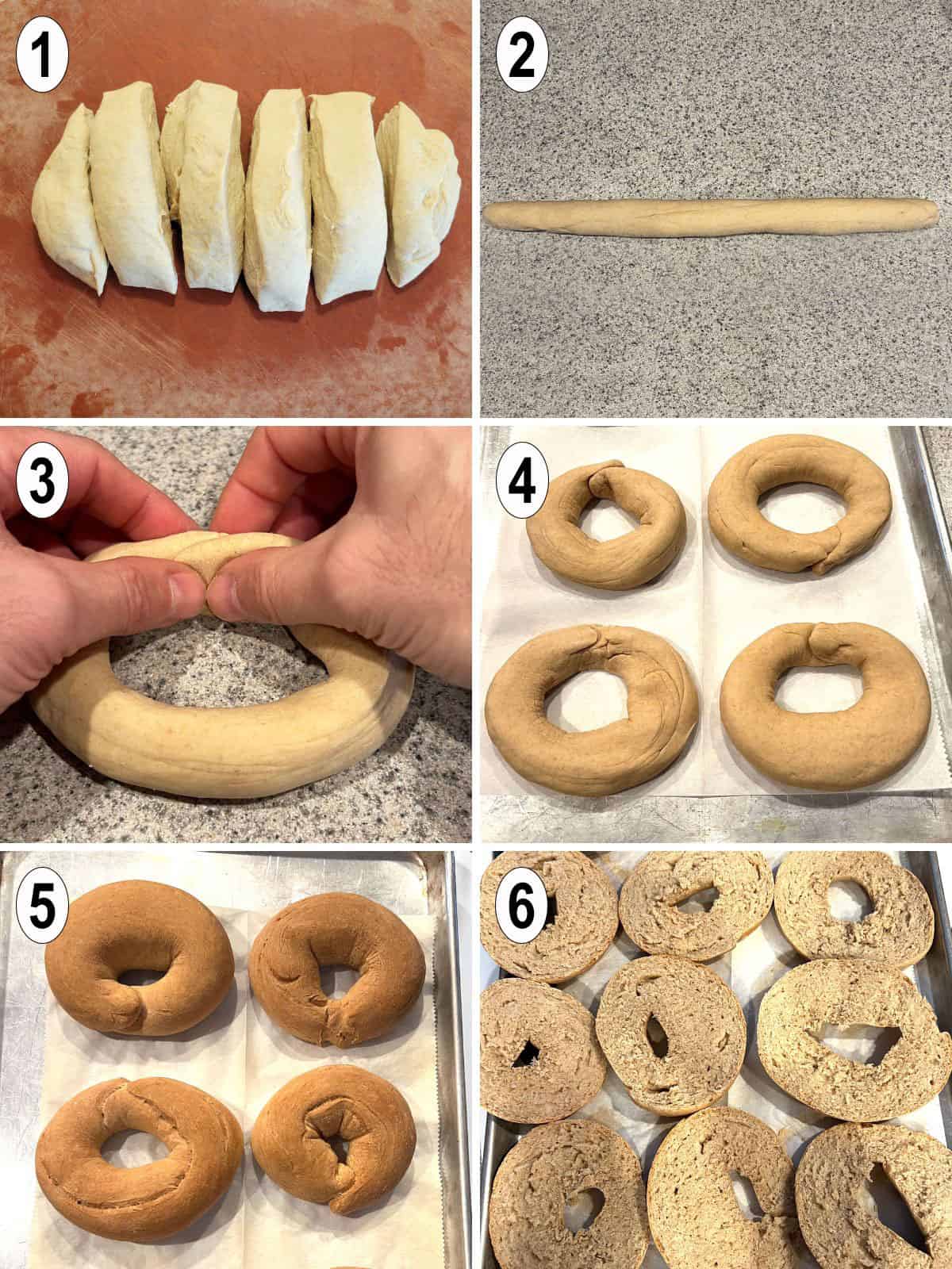 dough rolled into log and formed into rings then baked