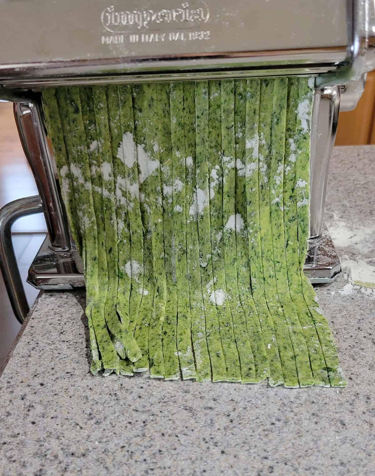 Homemade spinach fettuccine in pasta machine